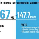 67 Kilos in Pounds