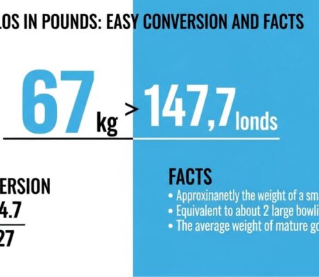 67 Kilos in Pounds